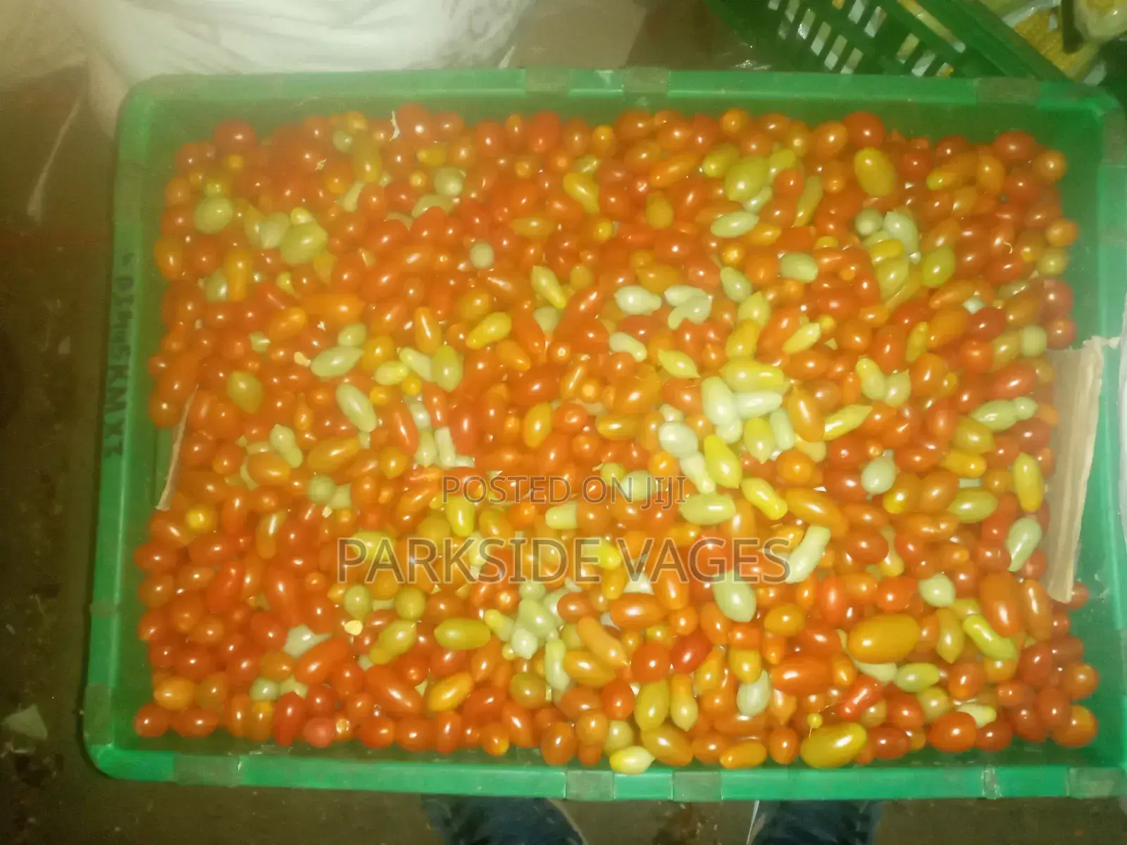 Cherry Tomatoes