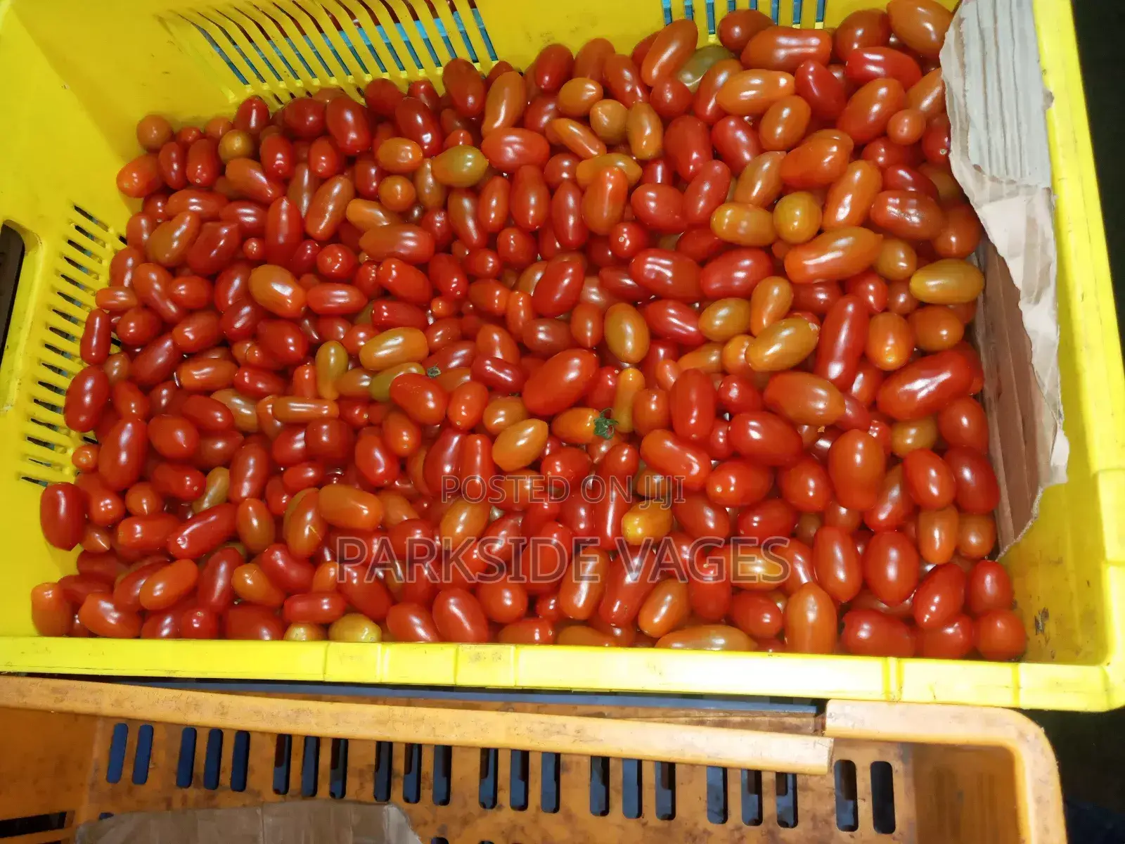 Cherry Tomatoes