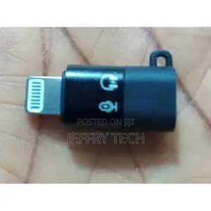 Otg Type C to iPhone Lightning Adapter for Wireless Microphone