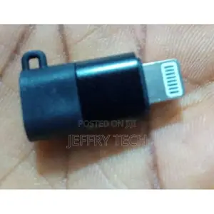 Otg Type C to iPhone Lightning Adapter for Wireless Microphone