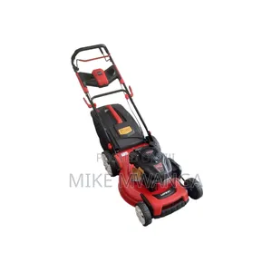 Windsor Gasoline Lawnmower