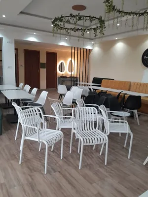 Restaurant Chairs