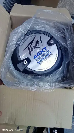 Peavey 44xt Titanium Compression Driver.