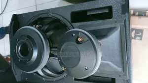 Tasso Audio High-Power Professional Pa Subwoofer Speaker