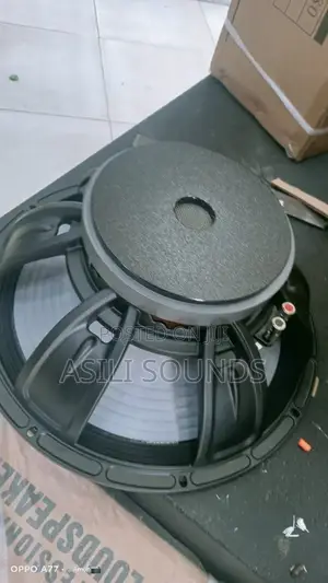 Derwell Professional Naked Speaker