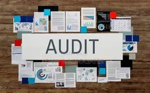 Audit Service