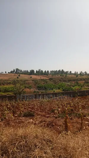 Prime Residential Plot, 50*100, Near Tatu City