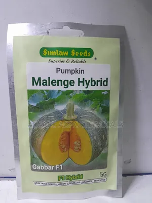 Malenge Gabbar F1 Hybrid Pumpkin Seeds 5g,25g, 50g