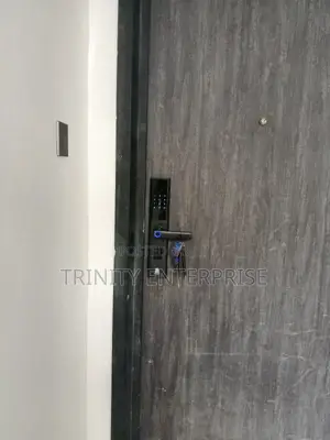 Door Locks Smart Lock Biometric