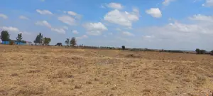 Prime 50x100 Plot in Konza