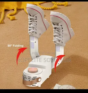 Electric Shoe Dryer