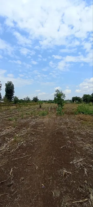 3/4 Acre for Sale in Sagana.