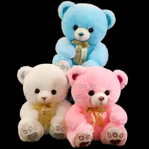 Premium Hug Me Teddy Bear