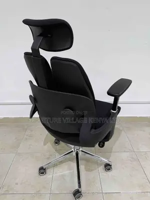 Executive Dual-back Orthopedic Office Seat