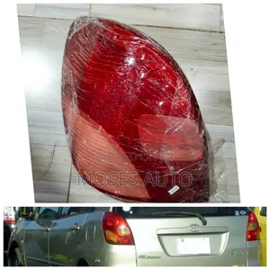 Toyota Spacio Taillight/Backlight Lens