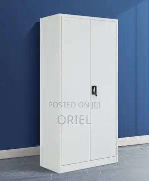 Office Cabinet : 2-Door Modern Steel Office Cabinet