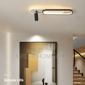 Modern Ceiling Light With Spotlight