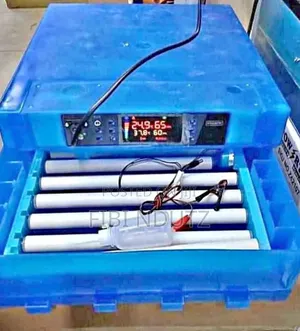 64 Eggs Incubator/Automatic Egg Incubator
