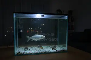 Fish Tank With Decor