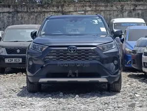 Toyota RAV4 2019 Gray