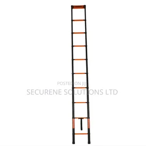 3.9m Single Telescopic Ladder