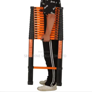 5.9m Single Telescopic Ladder
