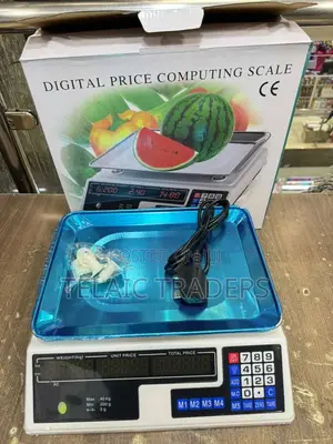 Armless Digital Scale 40kg