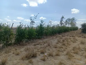 Prime 2-Acre Haven: 3-Bed Home + Borehole – Konza Boom!