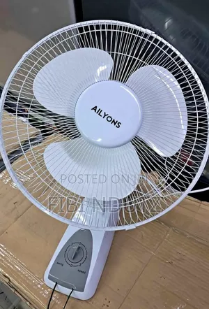 Electric Wall Fan/Affordable Wall Fan Available