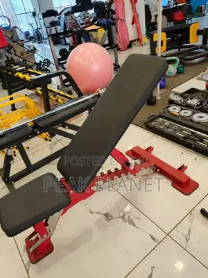 Heavy Duty Adjustable Gym Bench