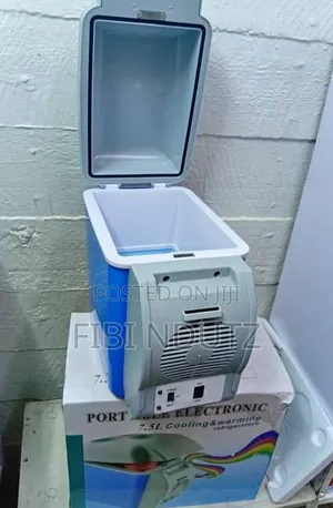 Car Fridge/Portable Car Refrigerator