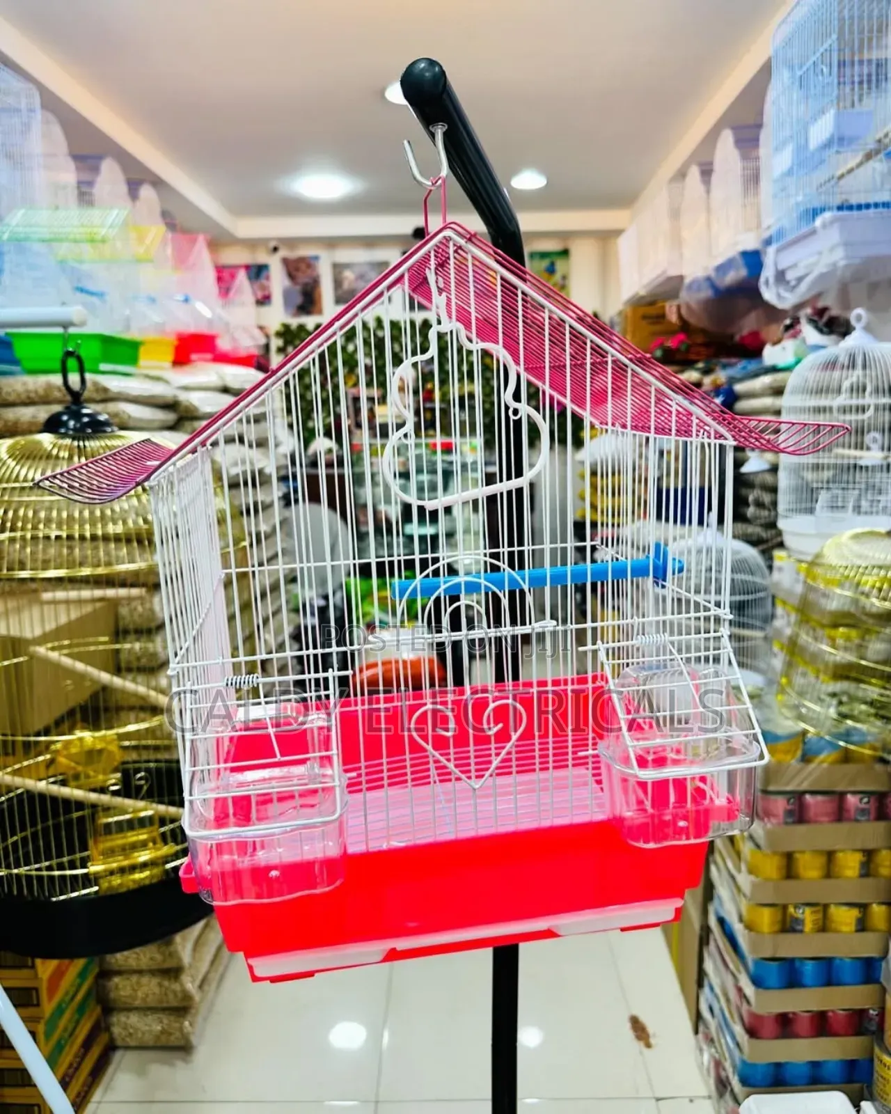 Beautiful Bird Cage