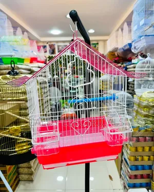 Beautiful Bird Cage