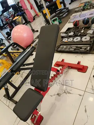 Commercial Fitness Bench Heavy Duty