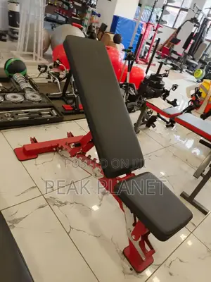 Durable Adjustable Workout Bench