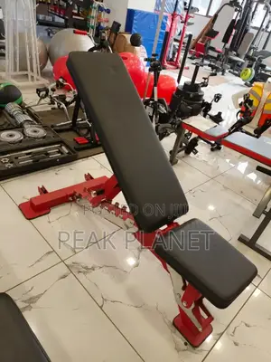 Adjustable Bench for Dumbbell Workout