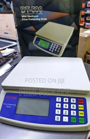 Dt580 Weighing Scale/Digital Weighing Scale 30kgs