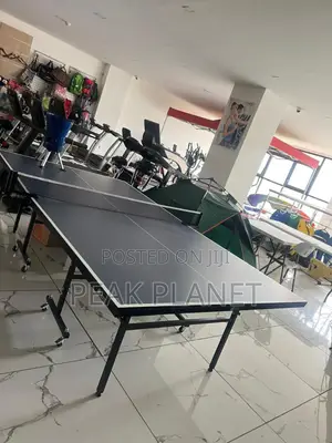 Foldable Table Tennis Table 15mm