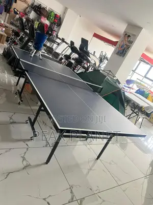 School Table Tennis Table 15mm