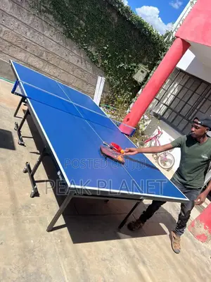 Home School Table Tennis Table