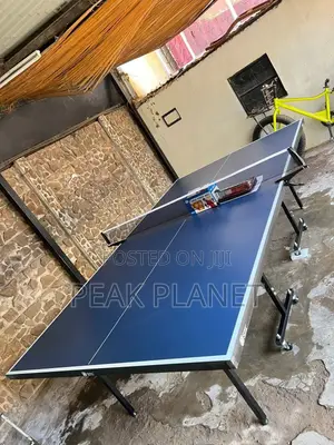 Professional Indoor Tt Table 15mm