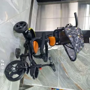 Tricycle With Canopy
