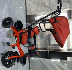 Red Tricycle With Canopy