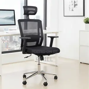 Modern Office Chair : Ergonomic Office Chair With Adjustable Headrest