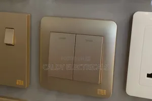 Generic Gold-Colored 2-Gang 2-Way Light Switch Bj6