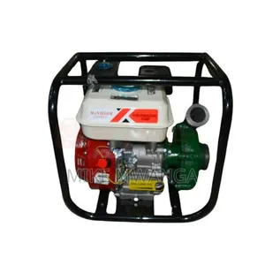 Windsor Gasoline Water Pump