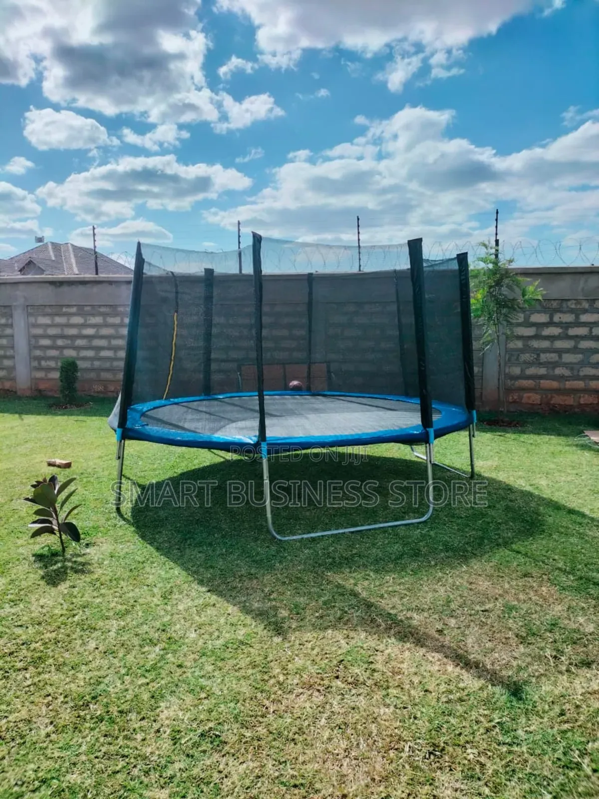 Big Trampoline