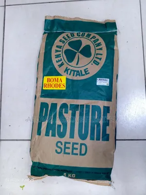 Boma Rhodes Seeds Pasture Grass 1kg