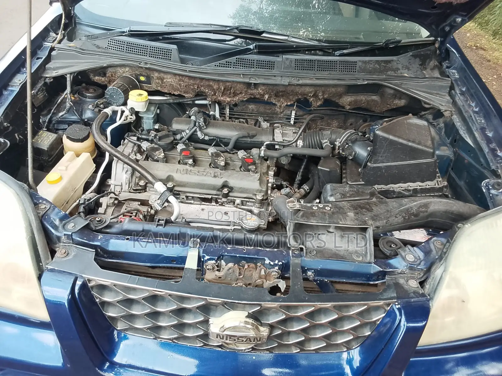 Nissan X-Trail 2006 Blue