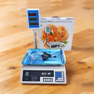 Overload Alert Acs 40 Upto 40kgs Computerized Digital Weighing Scale